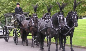 Horse Drawn Hearse